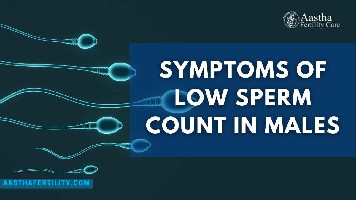 Read more about the article Low Sperm Count