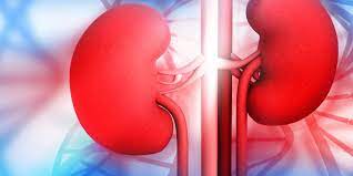 Read more about the article Kidney Diseases